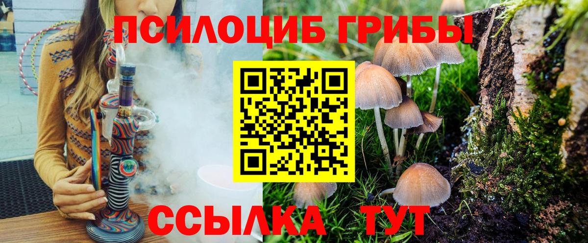 Псилоцибиновые грибы мухоморы  Вход с VPN  Псилоцибиновые грибы GOLDEN TEACHER  Всеволожск 